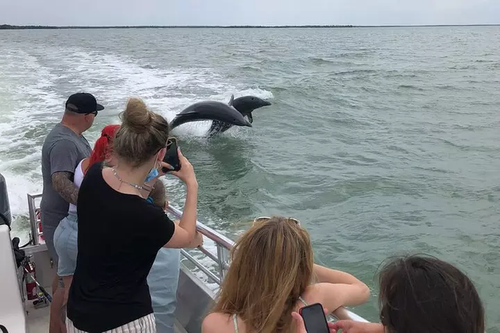 10,000 Islands Boat Excursion - 3.5-Hour Dolphins & Shelling Tour