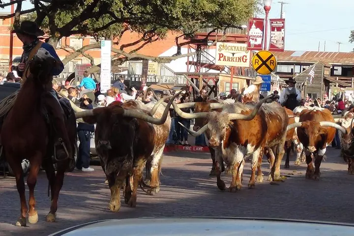 Dallas and Fort Worth City Sightseeing Tour Small-Group