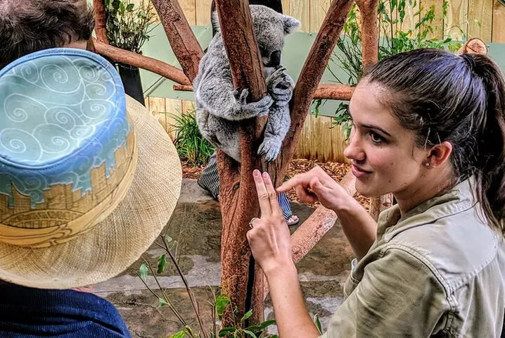 Wildlife, Waterfalls and Wine Day Tour from Sydney