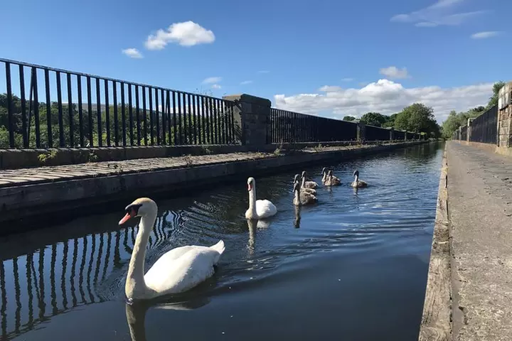 Edinburgh City Bike Tour - Choice of E-Bike or Manual