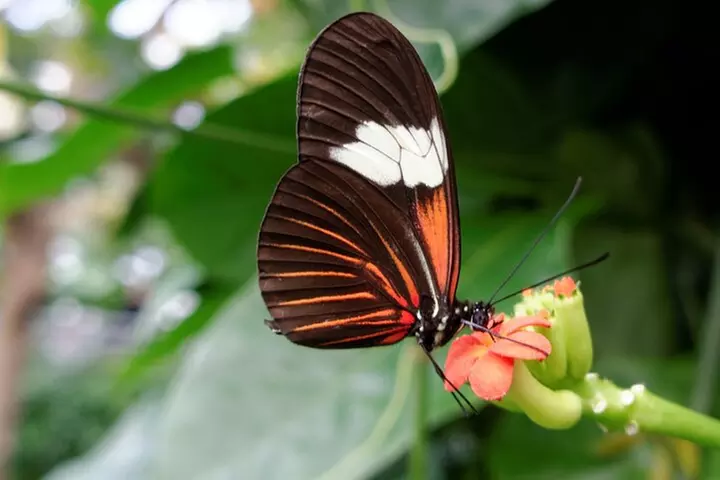 Cuyahoga Valley National Park Self-Guided Driving Audio Tour