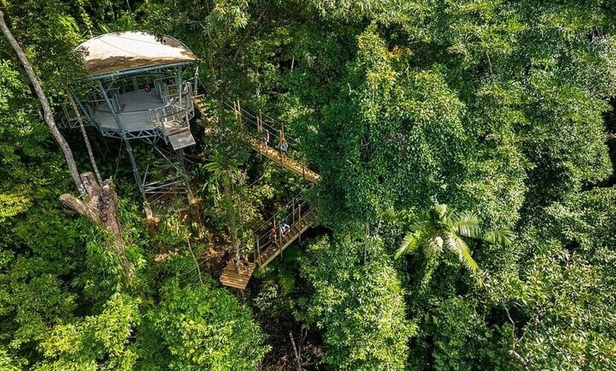 Image 4: Ziplining Cape Tribulation with Treetops Adventures