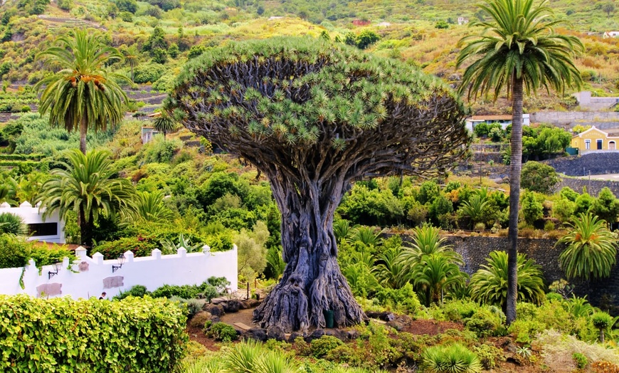 Image 13: ✈ CANARIES | Ténérife - Tenerife au volant 3*, 7 nuit - Autotour