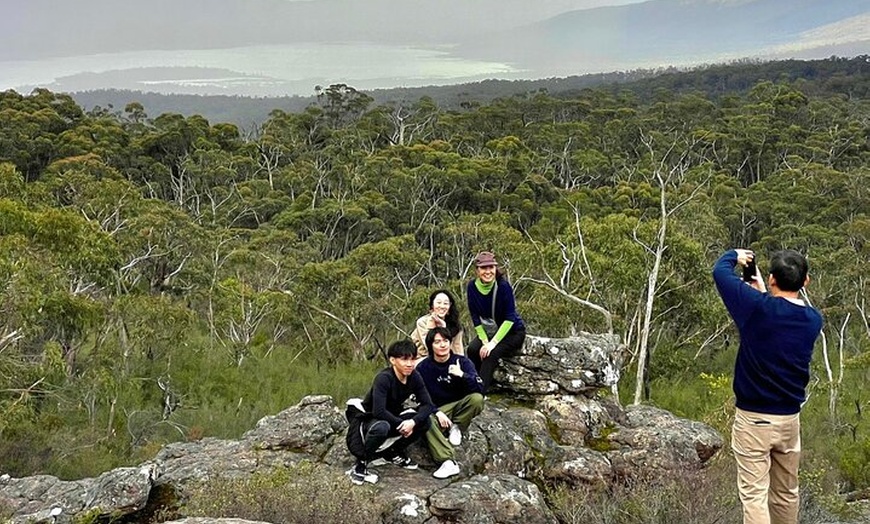 Image 6: Grampians National Park Small-Group Eco Tour from Melbourne