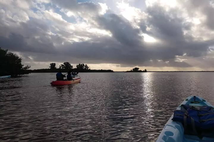 Guided Kayak Tour with Manatee & Dolphin Sightings