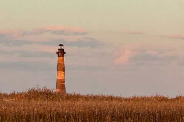 Private Charleston Dolphin and Eco Boat Tour