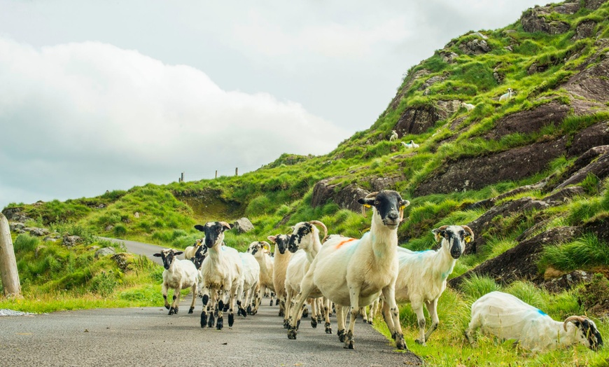 Image 13: ✈ IRLANDE | De Dublin à Killarney - Sur les Routes de l'Irlande - L...