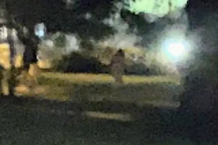 Savannah's 13 Ghosts, Voodoo, Murder & Mystery Tour