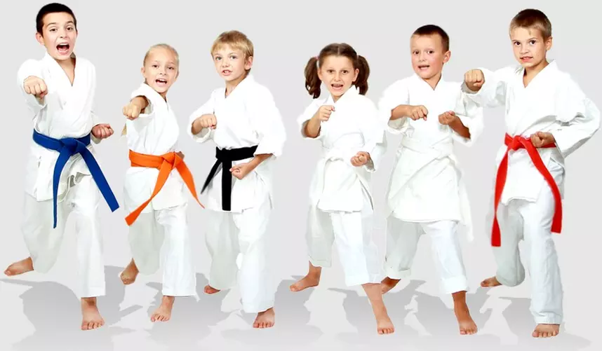 $125 For A 1.5-Hour Martial Arts Birthday Party Package (Reg. $250)