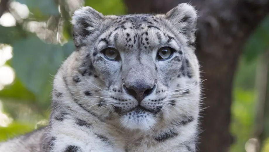 Central Park Zoo at Central Park Zoo - Primary Image