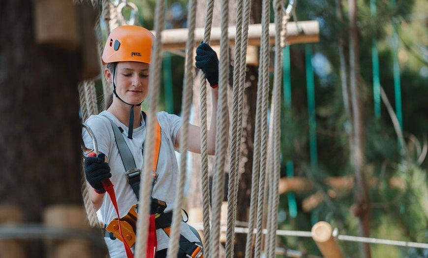 Image 4: Guided Tree Ropes Course Experience in Majura Pines