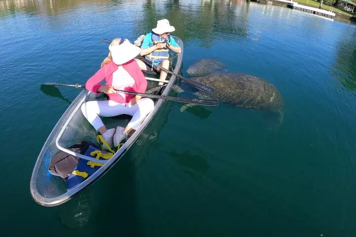 Clear Kayak Manatee Ecotour of Crystal River
