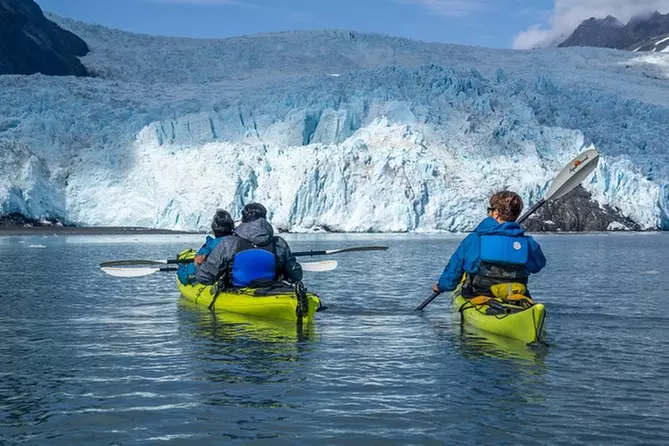 Aialik Glacier Wildlife Cruise and Kayaking - Primary Image