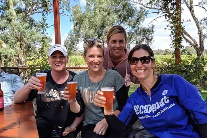 McLaren Vale Wine Tour by E-Bike (Private & Small Group)