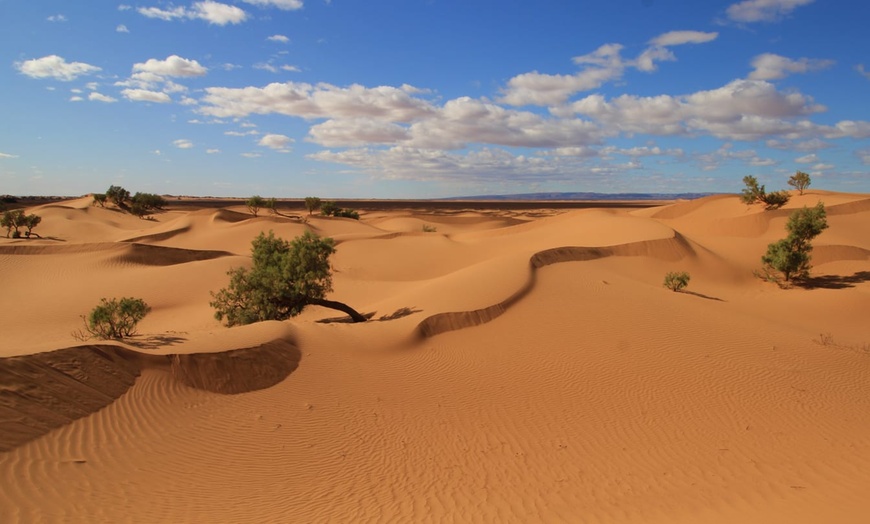 Image 7: ✈ MOROCCO | Marrakesh - Oasis et désert, parenthèse authentique à M...