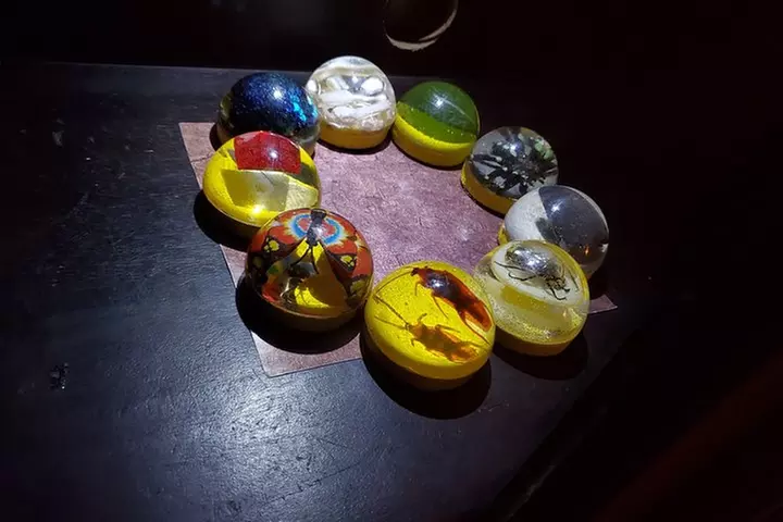 Merlin's Magic School Escape Room Game for Private Group