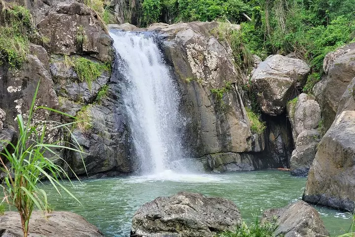 Puerto Rico Tour to El Yunque Rainforest Hiking to Waterfall - Primary Image