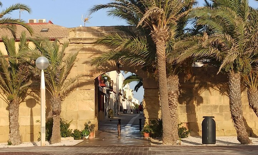 Image 2: Desde Torrevieja a Tabarca, Santa Pola y entrada a la Laguna Rosa