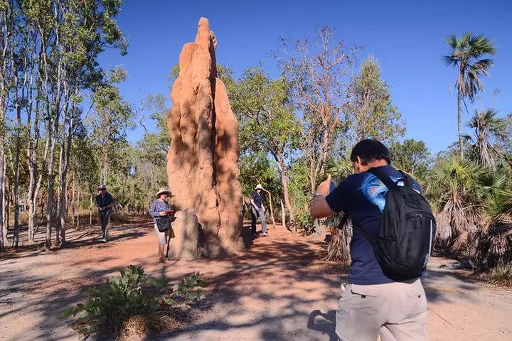 Litchfield and Jumping Crocodiles Full Day Trip from Darwin