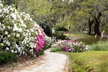 Middleton Place Admission with Self Guided Tour and Lunch - Second Medium