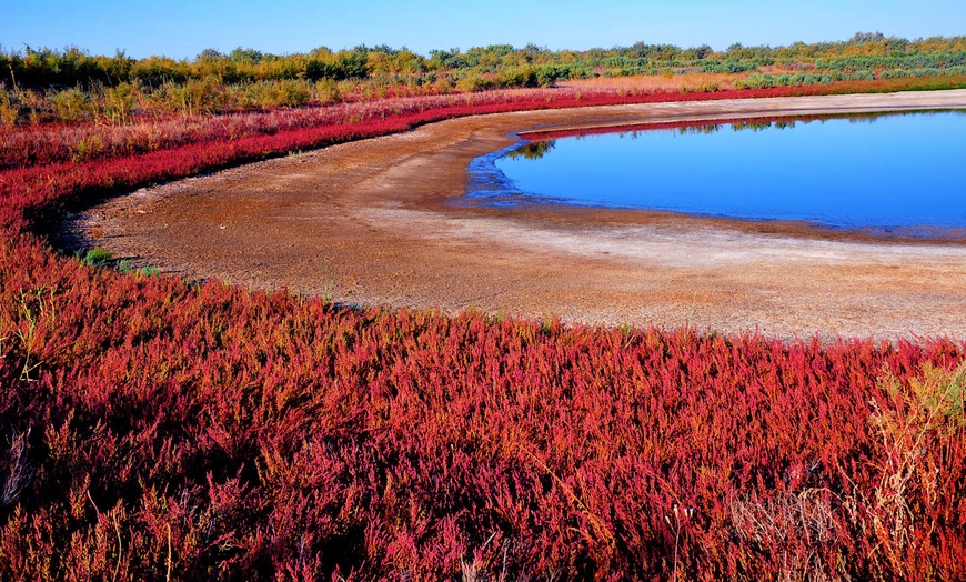 Image 26: ✈ OUZBÉKISTAN | Tashkent - Les essentiels de l'Ouzbékistan, 9 nuit ...
