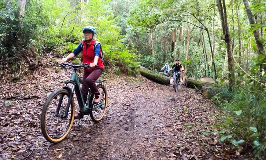 Image 9: Guided E Bike Tour - Unicorn Falls & National Park