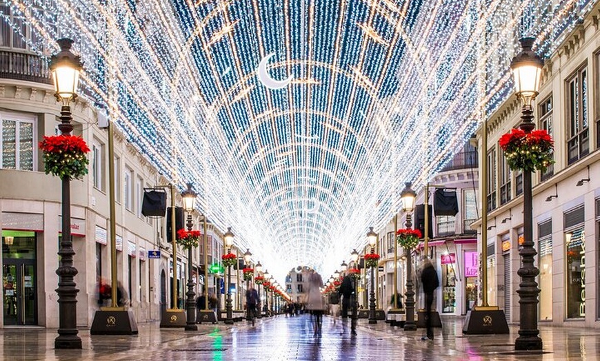 Image 7: Tour privado a pie por la historia de Málaga