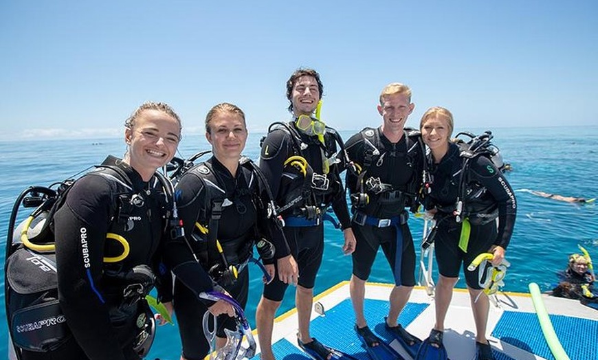 Image 11: Great Barrier Reef Snorkeling and Diving Cruise from Cairns