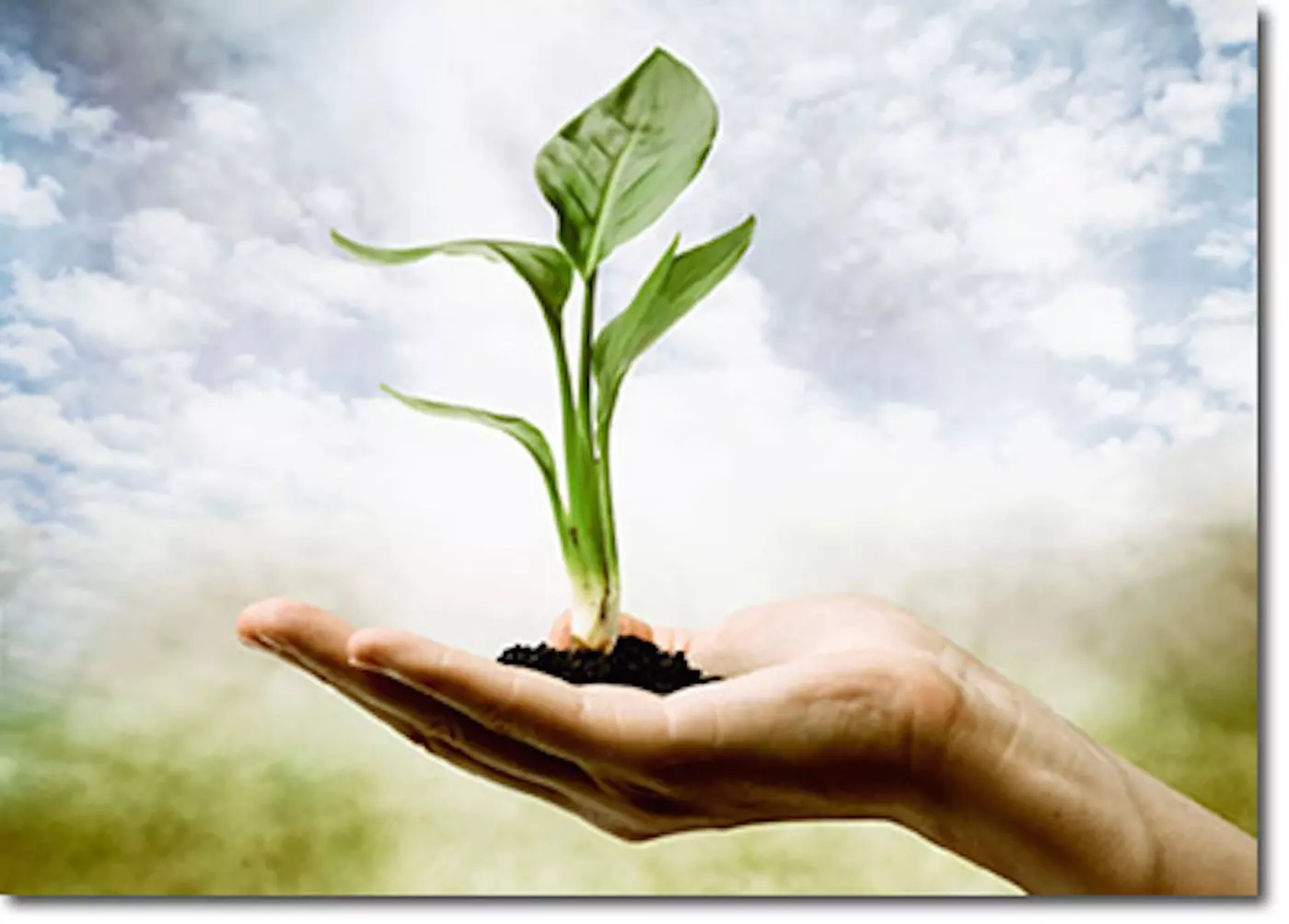 $80 for a Holistic Healthcare Wellness Exam (Reg. $160) - Primary Image