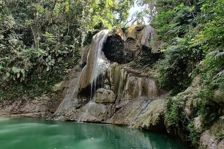 8 Hours Private Tours in Puerto Rico - Primary Image