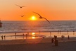 Malibu: Exclusive Beautiful Beach and Celebrity Lifestyle Tour - Second Medium