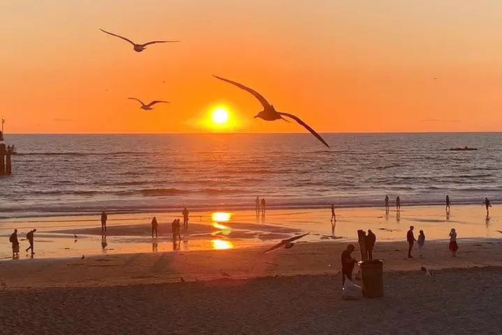Malibu: Exclusive Beautiful Beach and Celebrity Lifestyle Tour