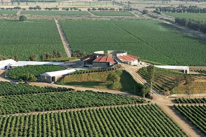 Old Wine Route Tour Experience at Baja California. ALL INCLUSIVE! - Primary Image
