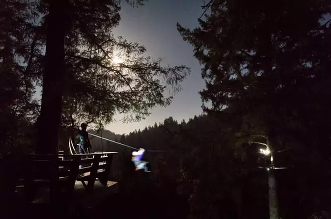 Zip the Night Away at Sonoma Canopy Tours - Primary Image