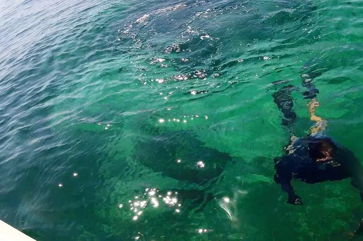 Florida Key Private Islands Exclusive Day Trip from Miami w/activ