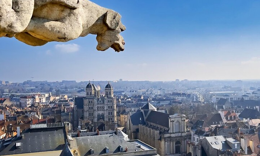 Image 1: Meilleure introduction à Dijon en 2 heures avec un local
