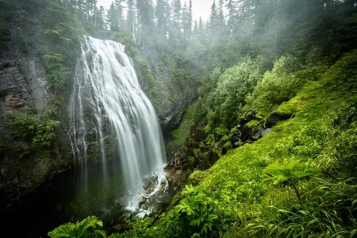 Mt. Rainier National Park Highlights Tour
