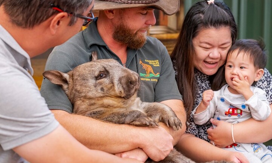 Image 5: Perth Day Tour: Dolphin Cruise, Wildlife Park, and Swan Valley