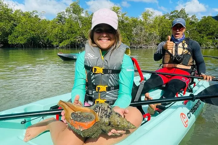 Kayak Tour Adventure Marco Island and Naples Florida