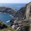Image 2: Private Guided Tour of Southern Coast of Isle of Anglesey