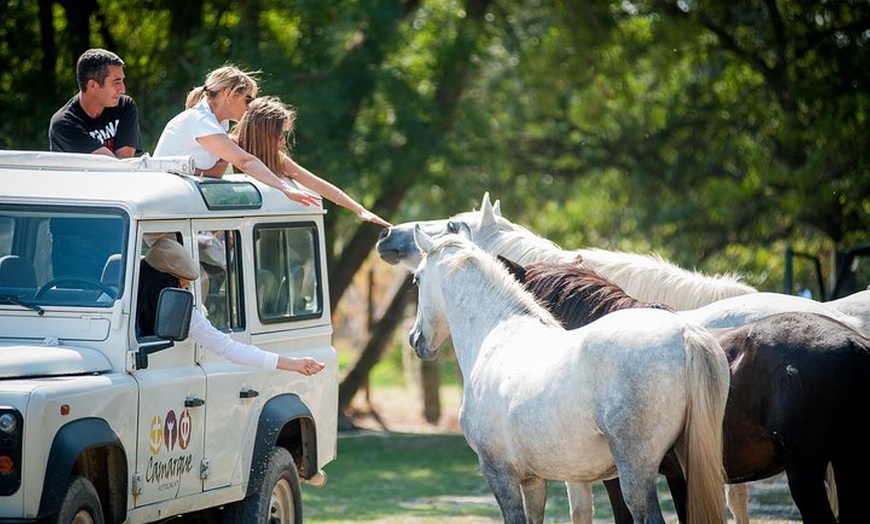 Image 3: 3 heures de safari en Camargue en 4x4 depuis Le Grau-du-Roi