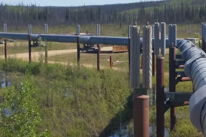 Alaskan Heritage and Sightseeing Tour in Fairbanks