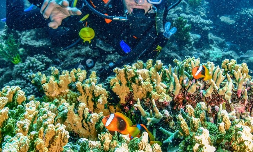 Image 9: Great Barrier Reef with Cultural Guides-Dreamtime Dive & Snorkel