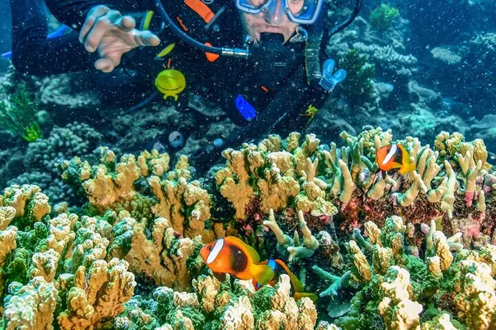 Great Barrier Reef with Cultural Guides-Dreamtime Dive & Snorkel