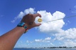 Parasailing Adventure above the Gulf of Mexico - Second Medium