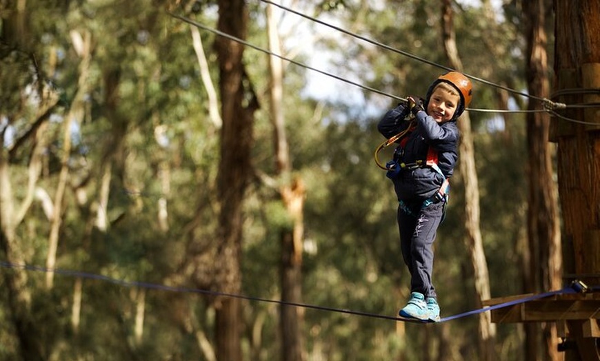 Image 6: Lane Poole Park Dwellingup - Junior Tree Ropes & Ziplining