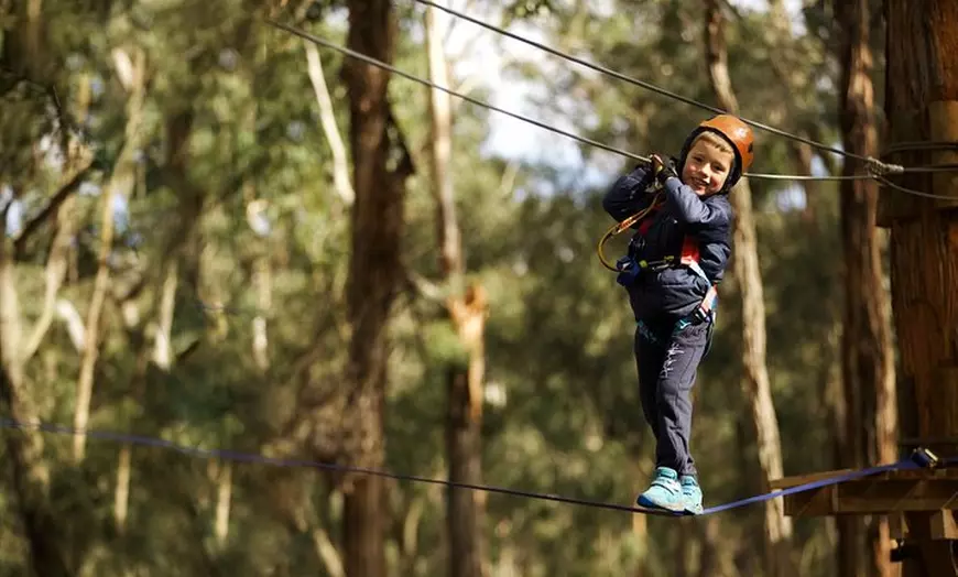 Image 6: Lane Poole Park Dwellingup - Junior Tree Ropes & Ziplining