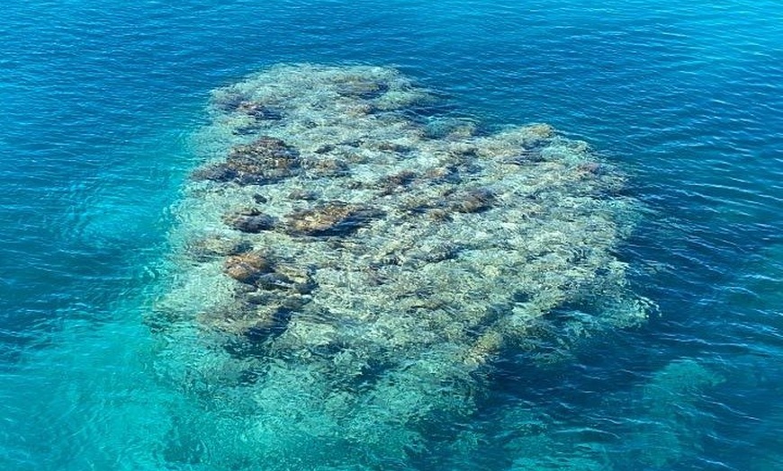 Image 7: Lady Musgrave Day Trip from Bundaberg Including Snorkeling