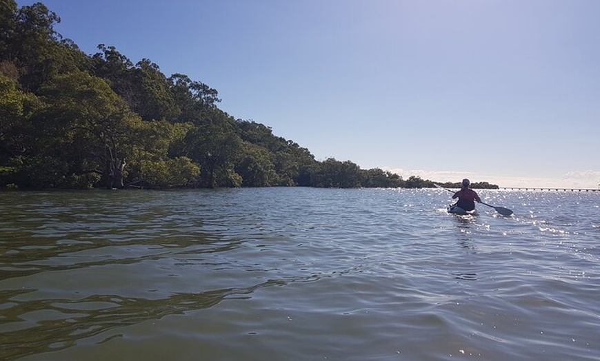 Image 9: Raby Bay Wildlife Kayak Tour