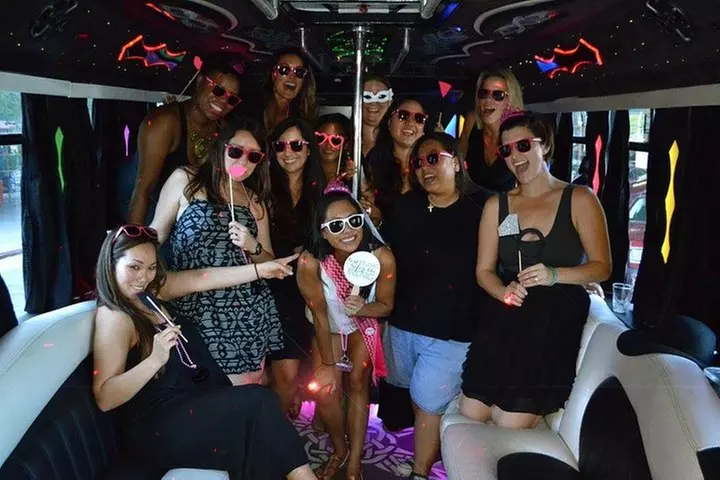 Private Airport Arrival Transportation in Luxury Party Bus (15 Pass...